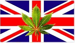 דגל אנגליה מריחואנה