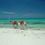 חופי תוניסיה