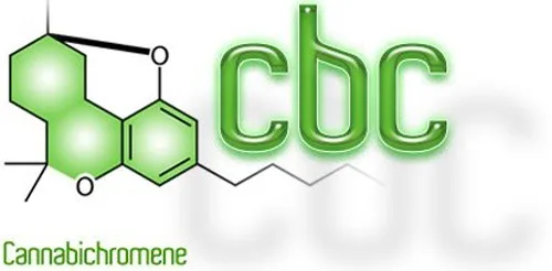 קנבינואיד CBC קנבינואיד CBC