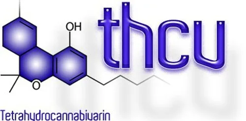 קנבינואיד THCV קנבינואיד THCV