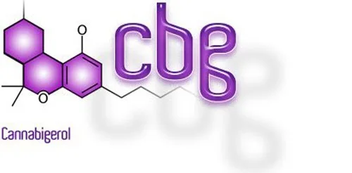 קנבינואיד CBG קנבינואיד CBG