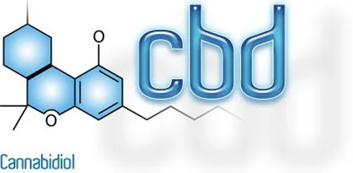 קנבינואיד CBD קנבינואיד CBD