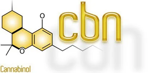 קנבינואיד CBN קנבינואיד CBN