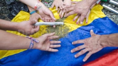דה קרימינליזציה של מריחואנה וקוקאין בקולומביה