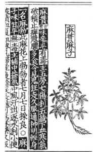 קנאביס בסין העתיקה