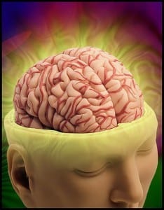 השפעת הקנאביס על המוח