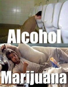 אלכוהול או מריחואנה?