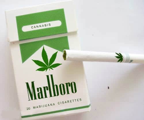 סיגריות קנאביס מרלבורו