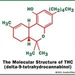 מולקולת THC