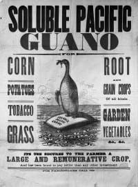 פרסומת לגואנו מהמאה ה-19