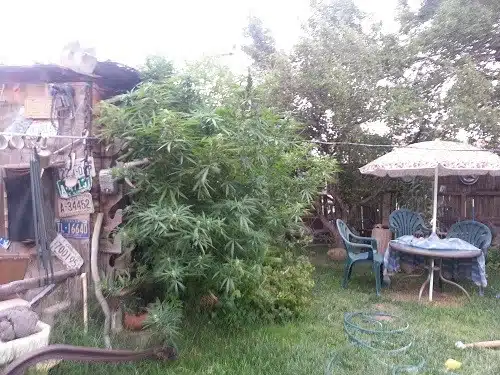 הכי כיף שבת בצהריים עם החברים