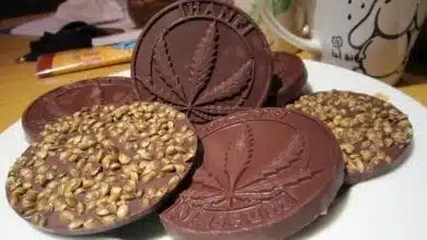 שוקולד קנאביס