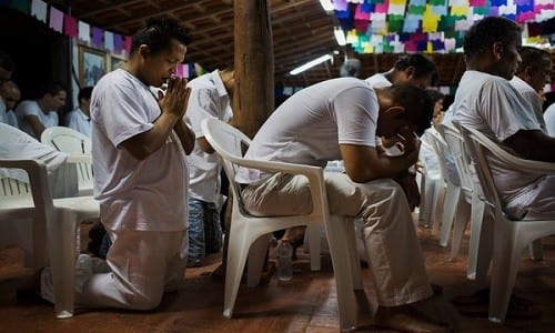 ברזיל: תכנית שיקום בבתי הכלא מציעה 'איוואסקה' לאסירים