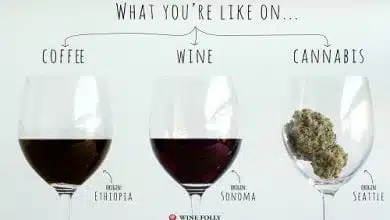 המוח שלכם על קנאביס, יין וקפה
