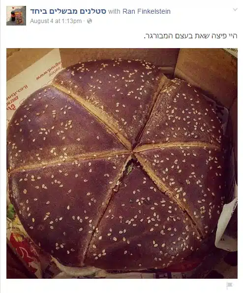 סטלנים מבשלים