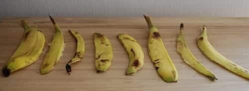 פמיניזציה עם קליפת בננה - שלב שני