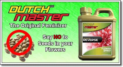 פרסומת לתכשיר נוגד הרמפרודיט: "תגידו לא לזרעים בפרחים שלכם"