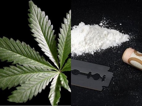 קנאביס וקוקאין: במקום הראשון והשני באירופה ודרום אמריקה
