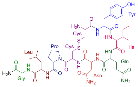אוקסיטוצין - "הורמון האהבה"