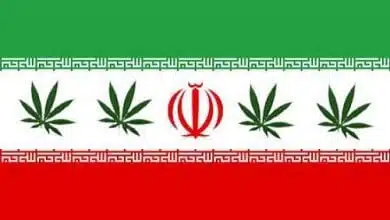 דגל איראן עם עלי קנאביס