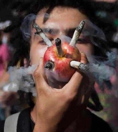 אדם מעשן כמה ג'וינטים במקביל מתוך תפוח