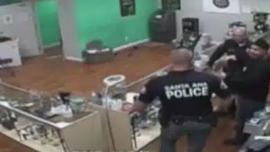 שוטרים גונבים עוגיות מחנות קנאביס בקולורדו, במהלך פשיטה אלימה (הוגשה תביעה)