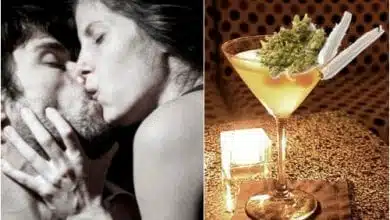 סקס תחת השפעת אלכוהול או תחת השפעת מריחואנה - השוואה בין הסדינים