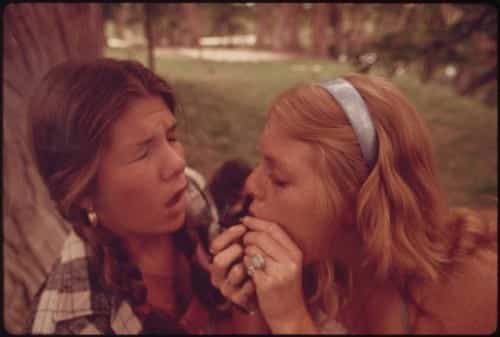 מסיבת טבע היפית עם קנאביס - 1973 (צילום: ממשלת ארה"ב, הסוכנות להגנת הסביבה)
