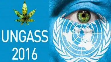כנס UNGASS 2016 - אסיפת האו"ם הכללית (19 עד 21 לאפריל 2016)