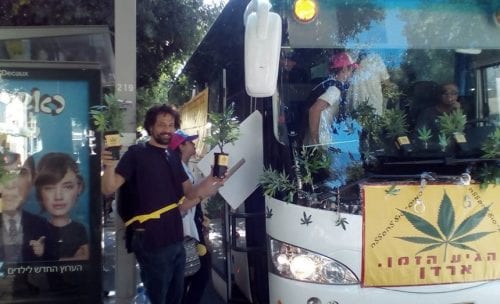 אוטובוס הפושעים ועציצי קנאביס מפלסטיק