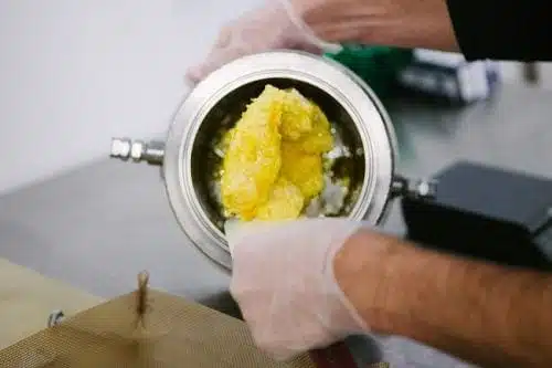 מיצוי קנאביס co2 או Sco2