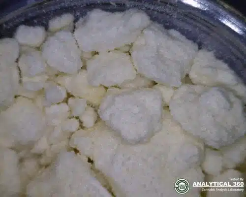 THC קריסטליין