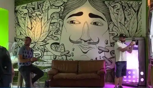 חנות צמחי קנאביס איטליה