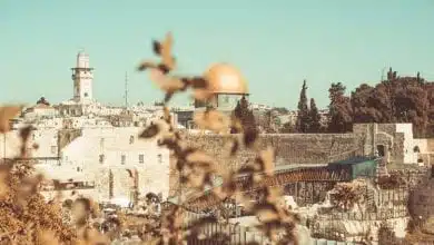 ירושלים (צילום: מדיסון מרגולין)