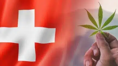 עלה קנאביס דגל שווייץ