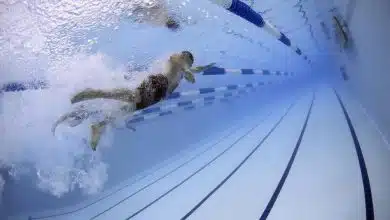 שחיין שוחה בבריכה ספורט