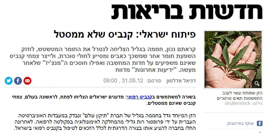 הדיווח באתר Ynet על הזן החדש (2012)