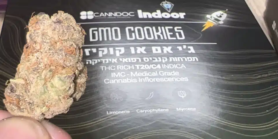 ג'י אם או קוקיז (GMO Cookies)