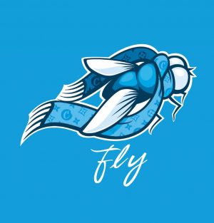 פליי (FLY) - היבריד T20/C4 - קוקיז