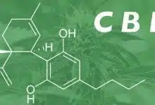 מה זה CBD, איך הוא עוזר לנו, ומה ההבדל מ-THC