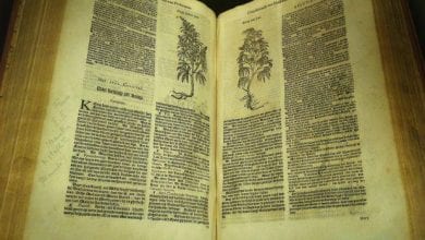 ספר בוטאני מהמאה ה-17