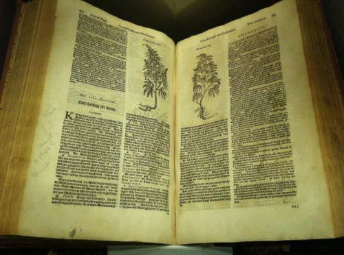 ספר בוטאני מהמאה ה-17