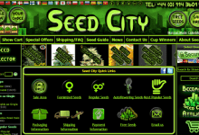 ד"ש למלחמה בסמים: חברת הזרעים "Seed City" קוראת תיגר על החברות הותיקות בתעשייה