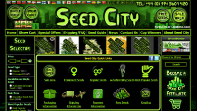 Seed City