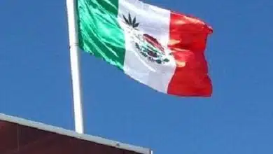 דגל מקסיקו עם עלה מריחואנה