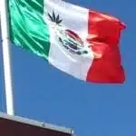 דגל מקסיקו עם עלה מריחואנה