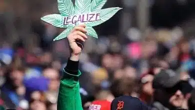 חגיגות 420 במישיגן