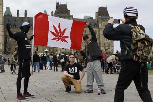 חגיגות 420 באוטאווה, קנדה