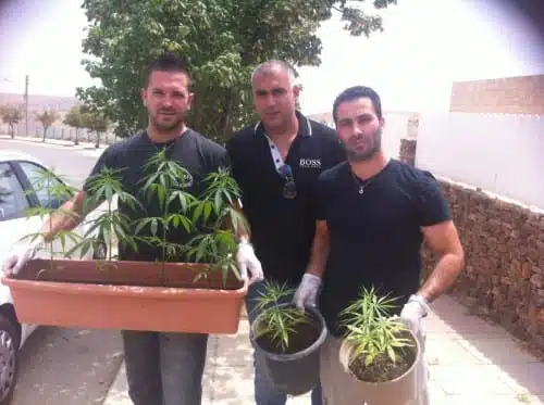 גיבורים על צמחים. משטרת ישראל