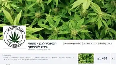 המשביר לגנן - דף פייסבוק מגדל מריחואנה